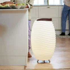 inny Lampy Podłogowe^Lampa LED z głośnikiem Bluetooth i chłodziarką KOODUU SYNERGY 65