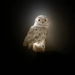Zumaline Lampy Ogrodowe|Lampy Ogrodowe^Lampa outdoorowa solarna LED IP44 biała SOWA