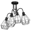 Luminex Wszystkie Lampy Sufitowe^Lampa sufitowa BERGEN IV 310