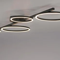 Paul Neuhaus Wszystkie Lampy Sufitowe^Lampa sufitowa LED czarna MINI RITUS