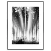 Best Obraz FOG AND SUN ARTBOX DIGI 50x70 cm