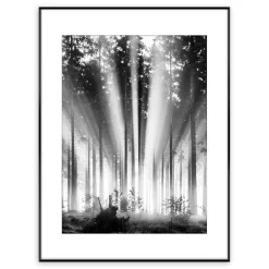 Best Obraz FOG AND SUN ARTBOX DIGI 50x70 cm