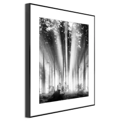 Best Obraz FOG AND SUN ARTBOX DIGI 50x70 cm