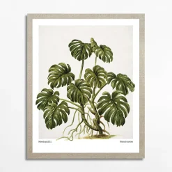 Best inny Obraz MONSTERA EGZOTIC PLANT 40x50 cm