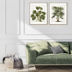 Best inny Obraz MONSTERA EGZOTIC PLANT 40x50 cm