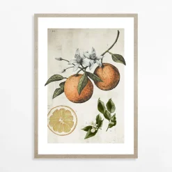 Best inny Obraz ORANGE LIFE CYCLE 21x30 cm