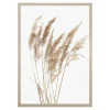 Best Obraz PAMPAS GRASS I 53x73 cm