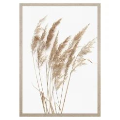 Best Obraz PAMPAS GRASS I 53x73 cm