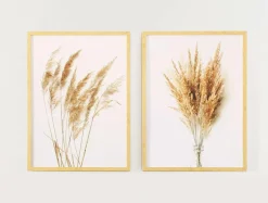 Best Obraz PAMPAS GRASS I 53x73 cm