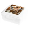 Best Pojemnik / lunchbox SAVE ME 850 ml
