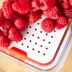 ROTHO Pojemniki Na Żywność^Pojemnik na żywność CAUMA 2,15 l
