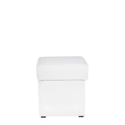 FN Design Puf ANCA