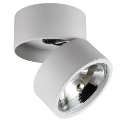Clearance Zumaline Reflektor spot regulowana głowica biały LOMO CL 1