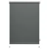 Best Roleta mini THERMO 57x150 cm