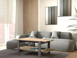 Stoliki Kawowe^Stolik kawowy z półką COFFEE TABLES dąb artisan